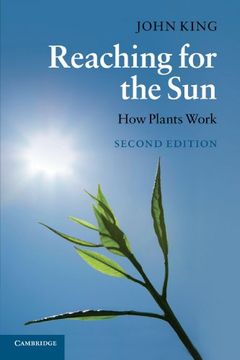 portada Reaching for the Sun, Second Edition: How Plants Work (en Inglés)
