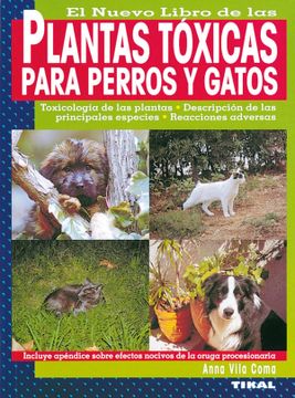 portada Plantas Toxicas Para Perros y Gatos (Plantas Tóxicas Para Perros y Gatos) (in Spanish)