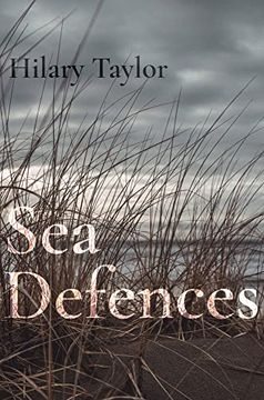 portada Sea Defences (en Inglés)
