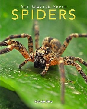 portada Spiders: Amazing Pictures & fun Facts on Animals in Nature (en Inglés)