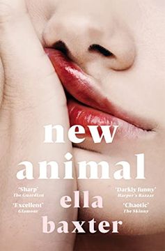 portada New Animal (en Inglés)
