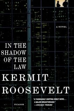 portada In the Shadow of the law (en Inglés)