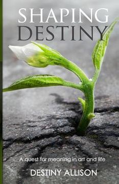 portada Shaping Destiny: A quest for meaning in art and life (en Inglés)