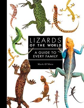 portada Lizards of the World: A Guide to Every Family (en Inglés)