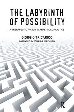 portada The Labyrinth of Possibility: A Therapeutic Factor in Analytical Practice (en Inglés)