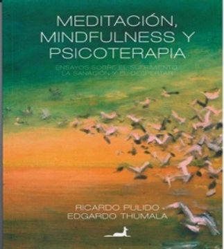 portada Meditacion Mindfulness y Psicoterapia (in Spanish)
