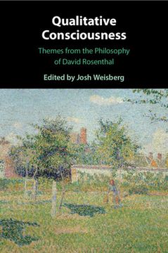 portada Qualitative Consciousness: Themes from the Philosophy of David Rosenthal (en Inglés)