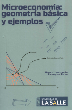 portada MICROECONOMIA GEOMETRIA BASICA Y EJEMPLOS (in Spanish)