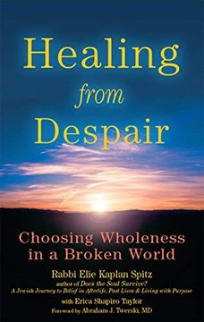 portada Healing From Despair: Choosing Wholeness in a Broken World 