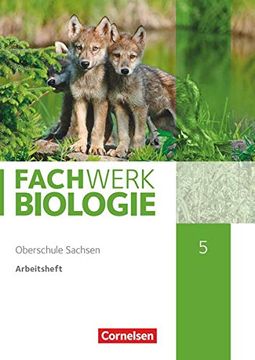 portada Fachwerk Biologie - Sachsen. 5. Schuljahr - Neuer Lehrplan - Arbeitsheft - Neubearbeitung (en Alemán)
