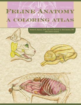 portada Feline Anatomy: A Coloring Atlas (en Inglés)