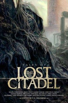 portada Lost Citadel Rpg: Tales of the Lost Citadel (Softcover) (in English)