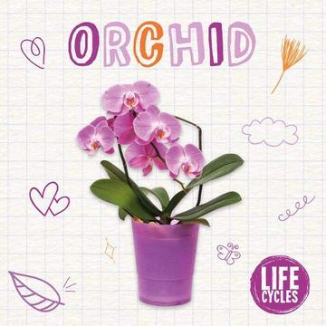 portada Orchid (Life Cycles) (en Inglés)