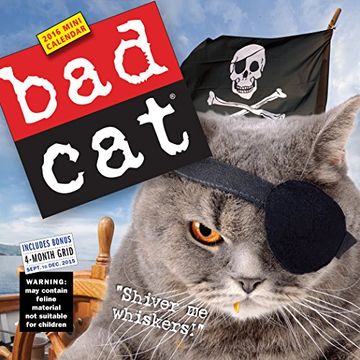 portada Bad cat 