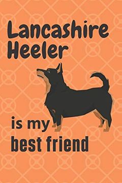 portada Lancashire Heeler is my Best Friend: For Lancashire Heeler dog Fans (en Inglés)