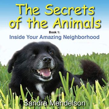 portada The Secrets of the Animals: Inside Your Amazing Neighborhood (en Inglés)