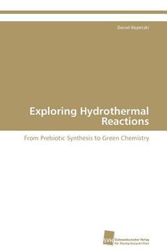 portada exploring hydrothermal reactions (en Inglés)