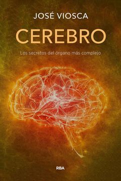 portada Cerebro (in Spanish)