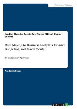 portada Data Mining to Business Analytics. Finance, Budgeting and Investments: An Evolutionary Approach (in English)