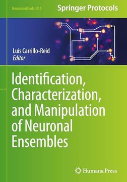 Identification, Characterization, and Manipulation of Neuronal Ensembles (Neuromethods, 215)