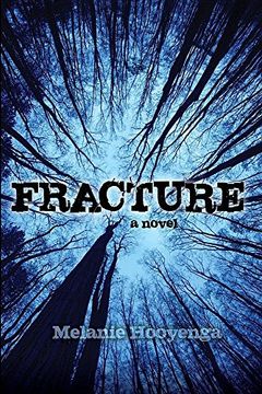 portada Fracture (The Flicker Effect) (in English)