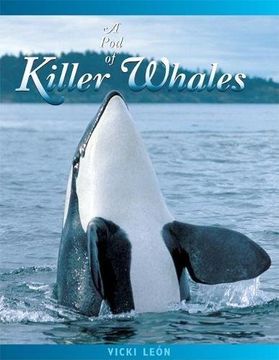 portada A pod of Killer Whales: The Mysterious Life of the Intelligent Orca (Jean-Michel Cousteau Presents) 