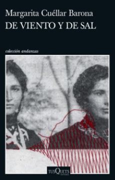 portada De Viento y de sal
