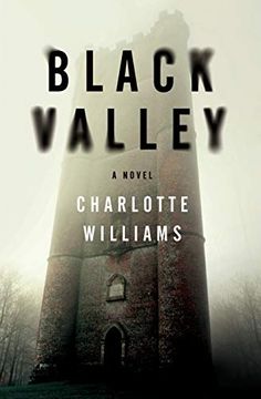 portada Black Valley (in English)