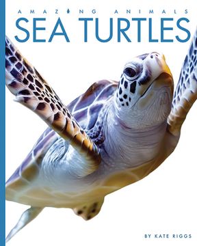 portada Sea Turtles