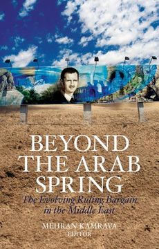 portada Beyond the Arab Spring (in English)