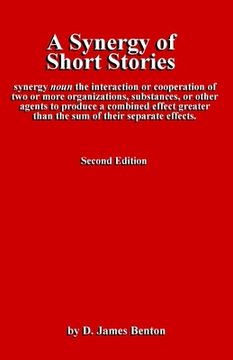 portada A Synergy of Short Stories: The whole may be greater than the sum of the parts! (en Inglés)