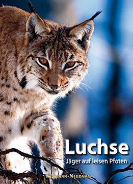 portada Luchse: Jäger auf Leisen Pfoten (en Alemán)