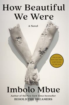 portada How Beautiful we Were: A Novel (in English)