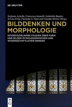 portada Bilddenken Und Morphologie: Interdisziplinäre Studien Über Form Und Bilder Im Philosophischen Und Wissenschaftlichen Denken (en Alemán)