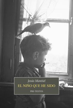 portada EL NIÑO QUE HE SIDO (in Spanish)