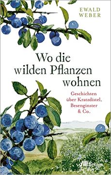 portada Wo die Wilden Pflanzen Wohnen: Geschichten Über Kratzdistel, Besenginster & co. (en Alemán)