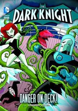 portada The Dark Knight: Batman and the Villainous Voyage (en Inglés)