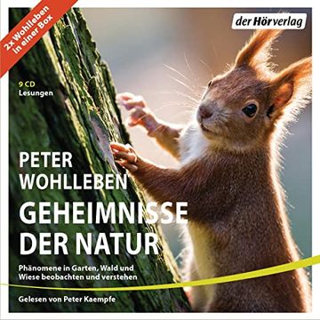 portada Geheimnisse der Natur: Phänomene in Garten, Wald und Wiese Beobachten und Verstehen. 2x Wohlleben in Einer box (en Alemán)