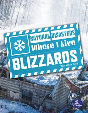 portada Blizzards (en Inglés)