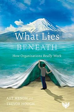 portada What Lies Beneath: How Organisations Really Work (en Inglés)