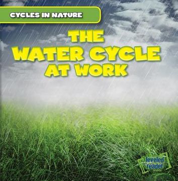 portada The Water Cycle at Work (en Inglés)