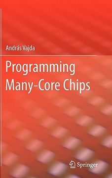 portada programming many-core chips (in English)