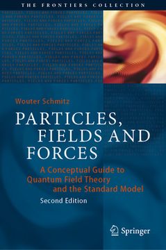Particles, Fields and Forces: A Conceptual Guide to Quantum Field Theory and the Standard Model (en Inglés)