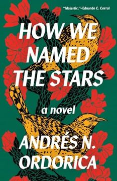 portada How we Named the Stars (in English)