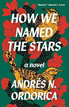 portada How we Named the Stars (en Inglés)