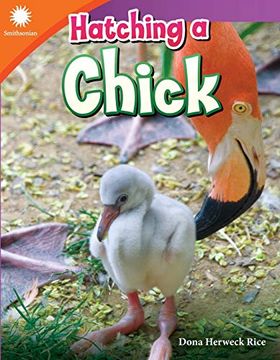 portada Hatching a Chick (Smithsonian: Informational Text) (en Inglés)