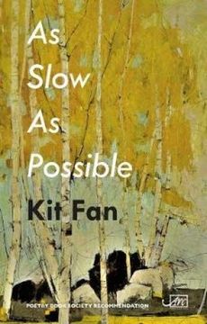 portada As Slow As Possible (in English)