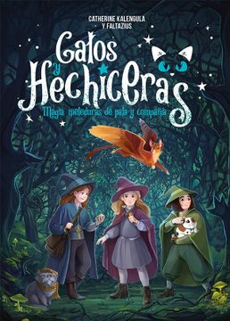 portada Gatos y Hechiceras (in Spanish)
