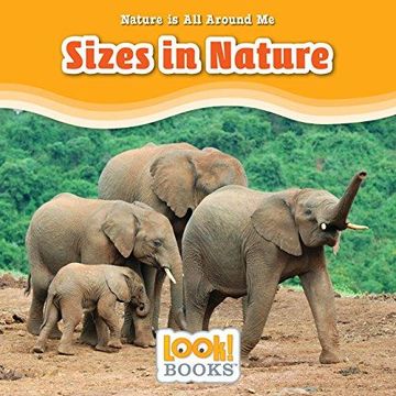 portada Sizes in Nature Format: Library Bound (en Inglés)
