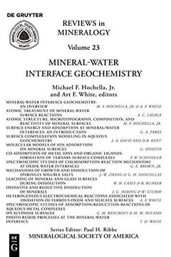 portada Mineral-Water Interface Geochemistry (Reviews in Mineralogy & Geochemistry) (in English)